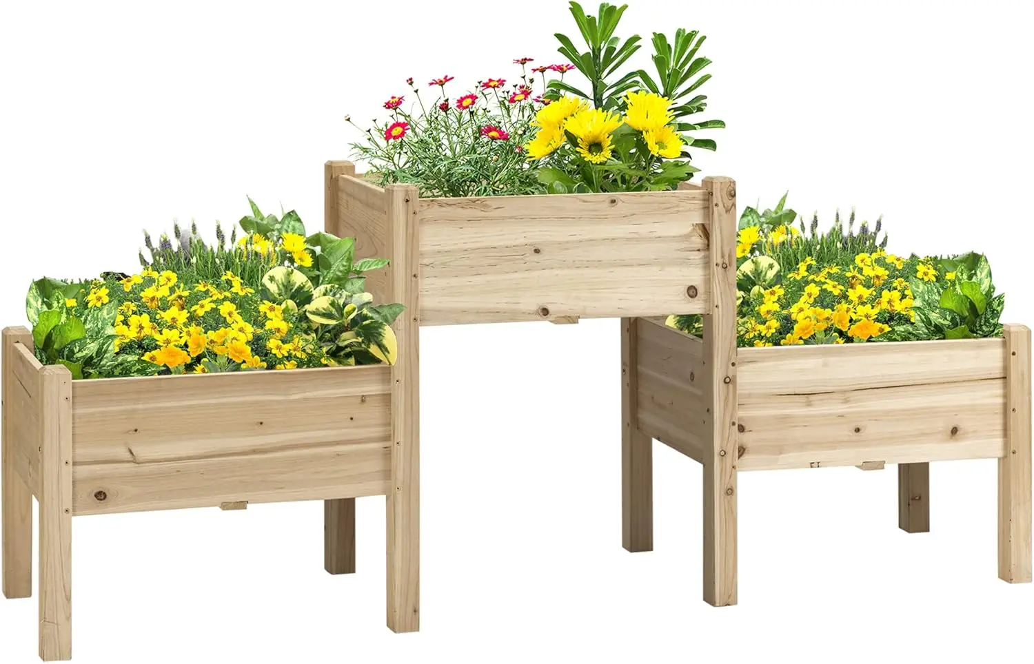 Raised Garden Bed with 3 Planter Box, Elevated Wooden Plant Stand with Drainage Holes, for Vegetables, Herb and Flowers, Natural
Raised Garden Bed with 3 Planter Box, Elevated Wooden Plant Stand with Drainage Holes, for Vegetables, Herb and Flowers, Natural