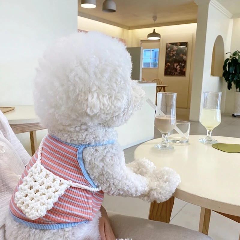 Dog Camisole Classic Striped Vest Bichon Frise Poodle Summer Clothes Yorkshire Pullover Maltese Cool Clothes No Bag
Dog Camisole Classic Striped Vest Bichon Frise Poodle Summer Clothes Yorkshire Pullover Maltese Cool Clothes No Bag