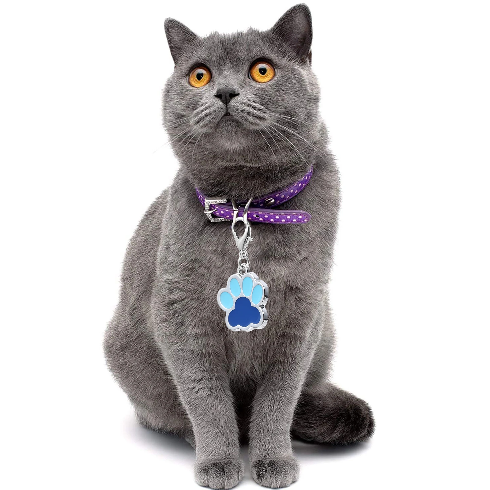 6pcs Alloy Dog ID Tags Custom Zinc Alloy Pet Tag Plates Durable Hanging Cat Kitten Collar Pet Tag Modern Design
6pcs Alloy Dog ID Tags Custom Zinc Alloy Pet Tag Plates Durable Hanging Cat Kitten Collar Pet Tag Modern Design