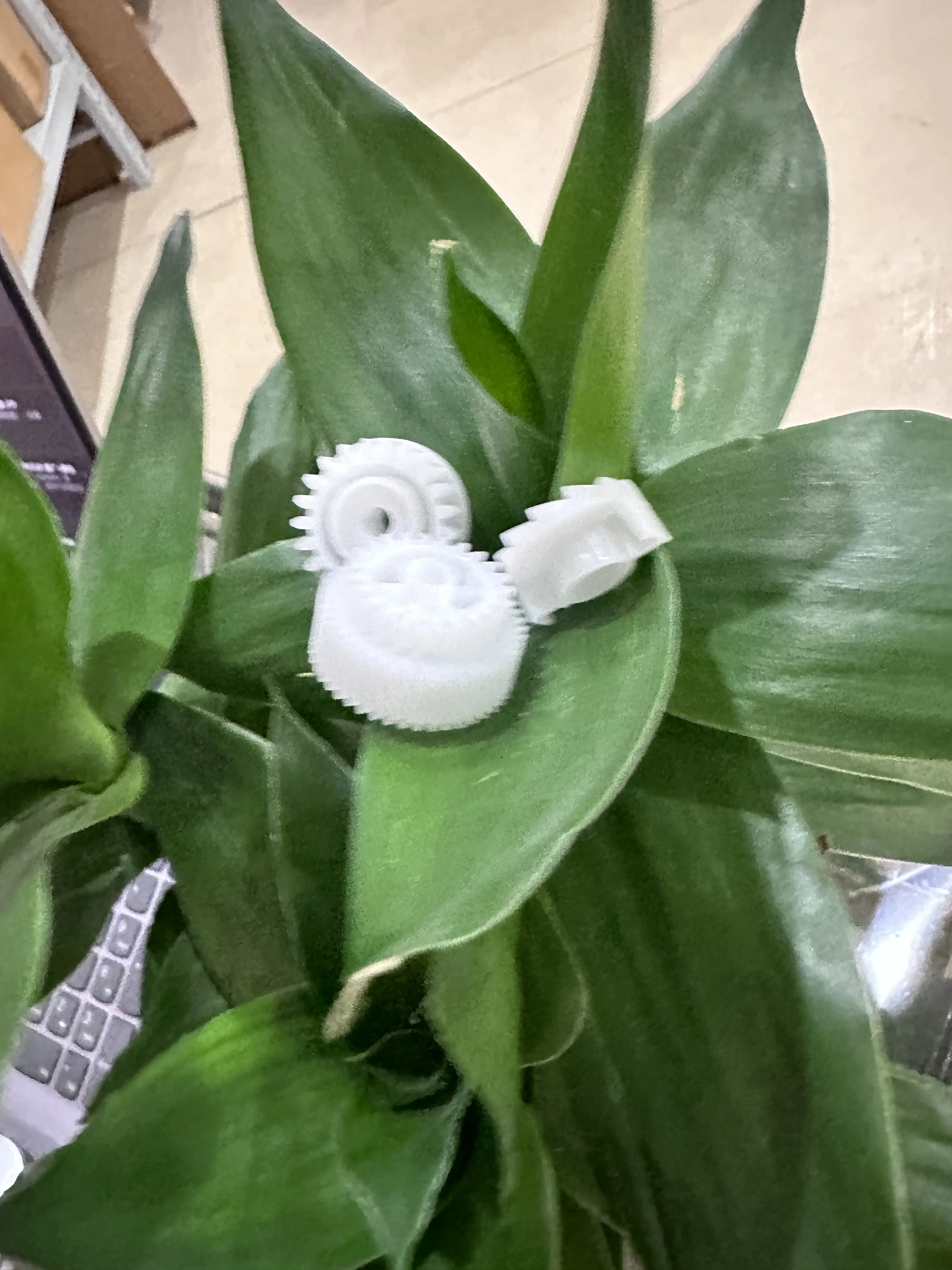 50X приводная шестерня фьюзера для Brother L2500 L2520 L2540 L2560 L2300 L2320 L2340 L2360 L2380 L2680 L2700 L2703 L2705 L2720 L2740
50X приводная шестерня фьюзера для Brother L2500 L2520 L2540 L2560 L2300 L2320 L2340 L2360 L2380 L2680 L2700 L2703 L2705 L2720 L2740