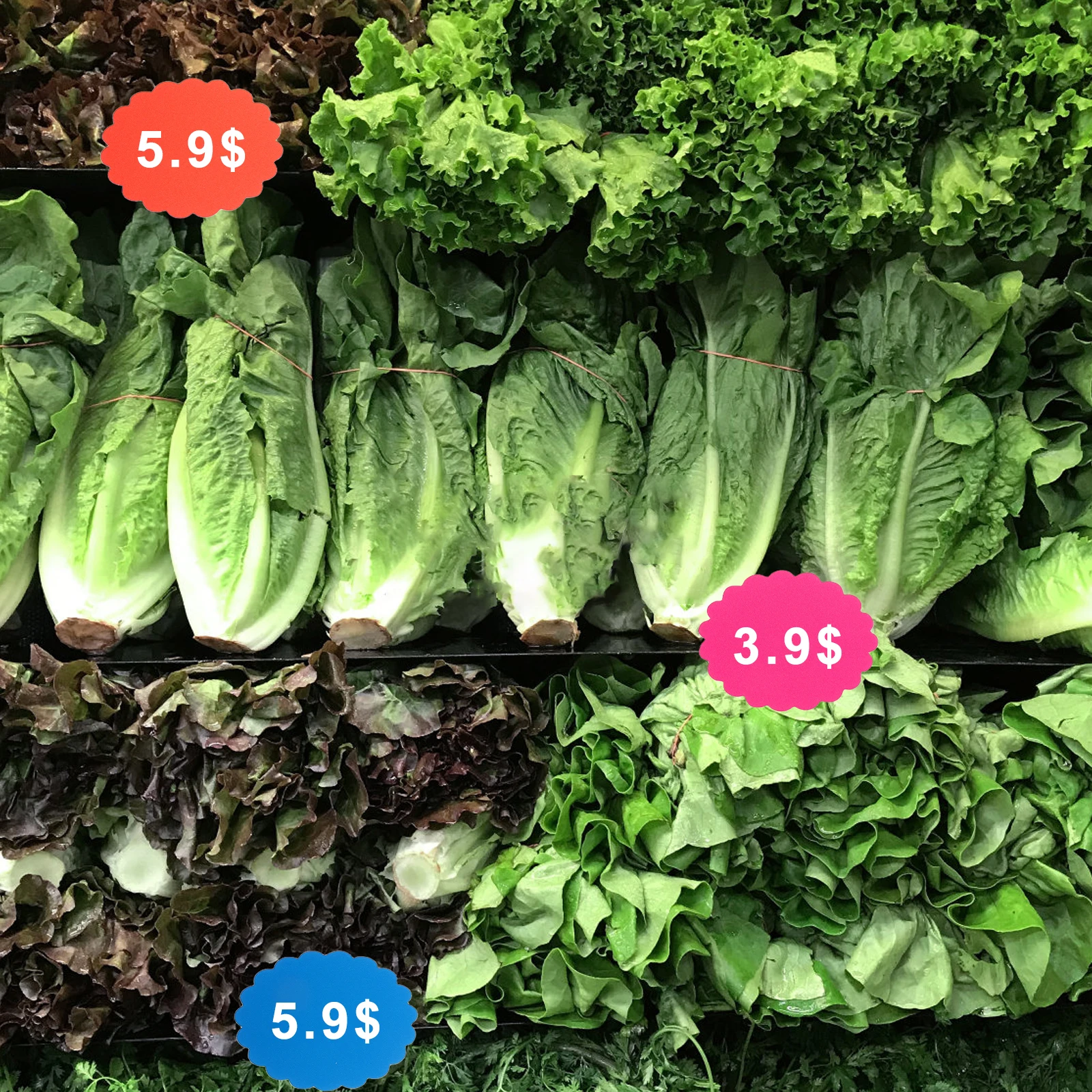 400Pcs Fluorescent Burst Paper Price Tags for Retail Store Sale Advertising Sign Removable Tags for Sale Sign Tag
400Pcs Fluorescent Burst Paper Price Tags for Retail Store Sale Advertising Sign Removable Tags for Sale Sign Tag