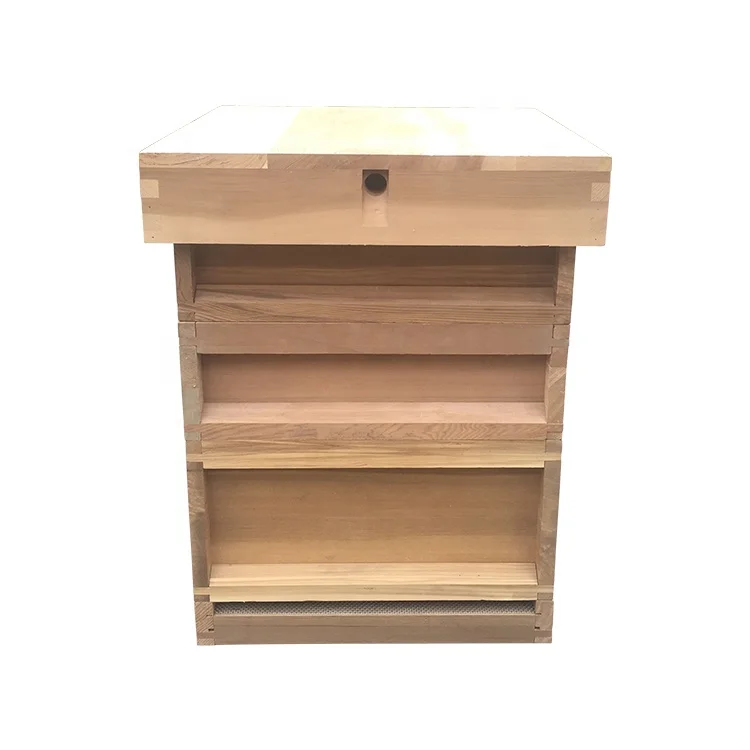 New Products Wooden Beehive for Beekeeping Equipment
New Products Wooden Beehive for Beekeeping Equipment