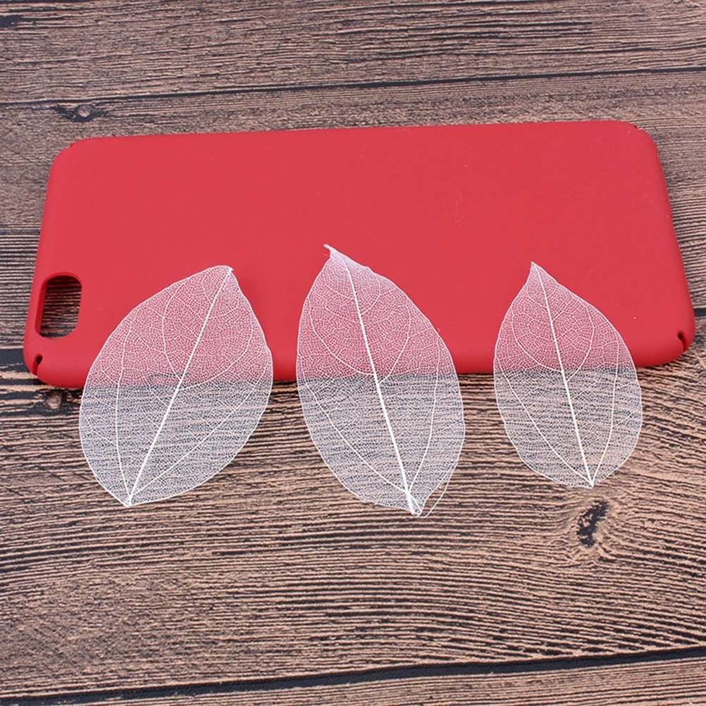 6Pcs Leaf Vein Specimen Natural Dried Flowers for DIY Materials Handmade Crafts Scrapbook Greeting Card Decoration Wedding Gift
6Pcs Leaf Vein Specimen Natural Dried Flowers for DIY Materials Handmade Crafts Scrapbook Greeting Card Decoration Wedding Gift