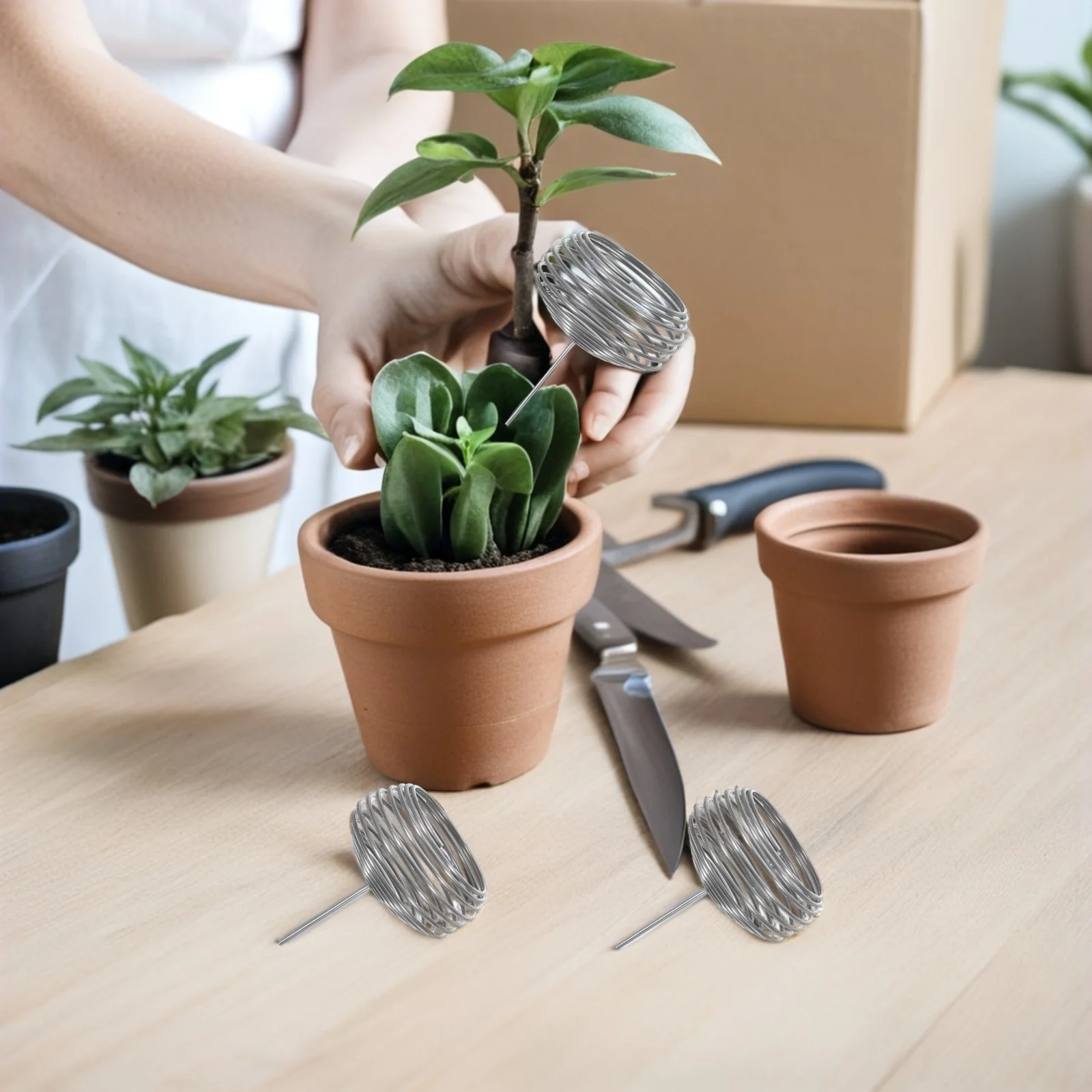 20Pcs Bonsai Fertilization Basket Stainless Steel Wire Design for Precise Fertilizer Release Orchids Potting Bonsai Bowl 
20Pcs Bonsai Fertilization Basket Stainless Steel Wire Design for Precise Fertilizer Release Orchids Potting Bonsai Bowl