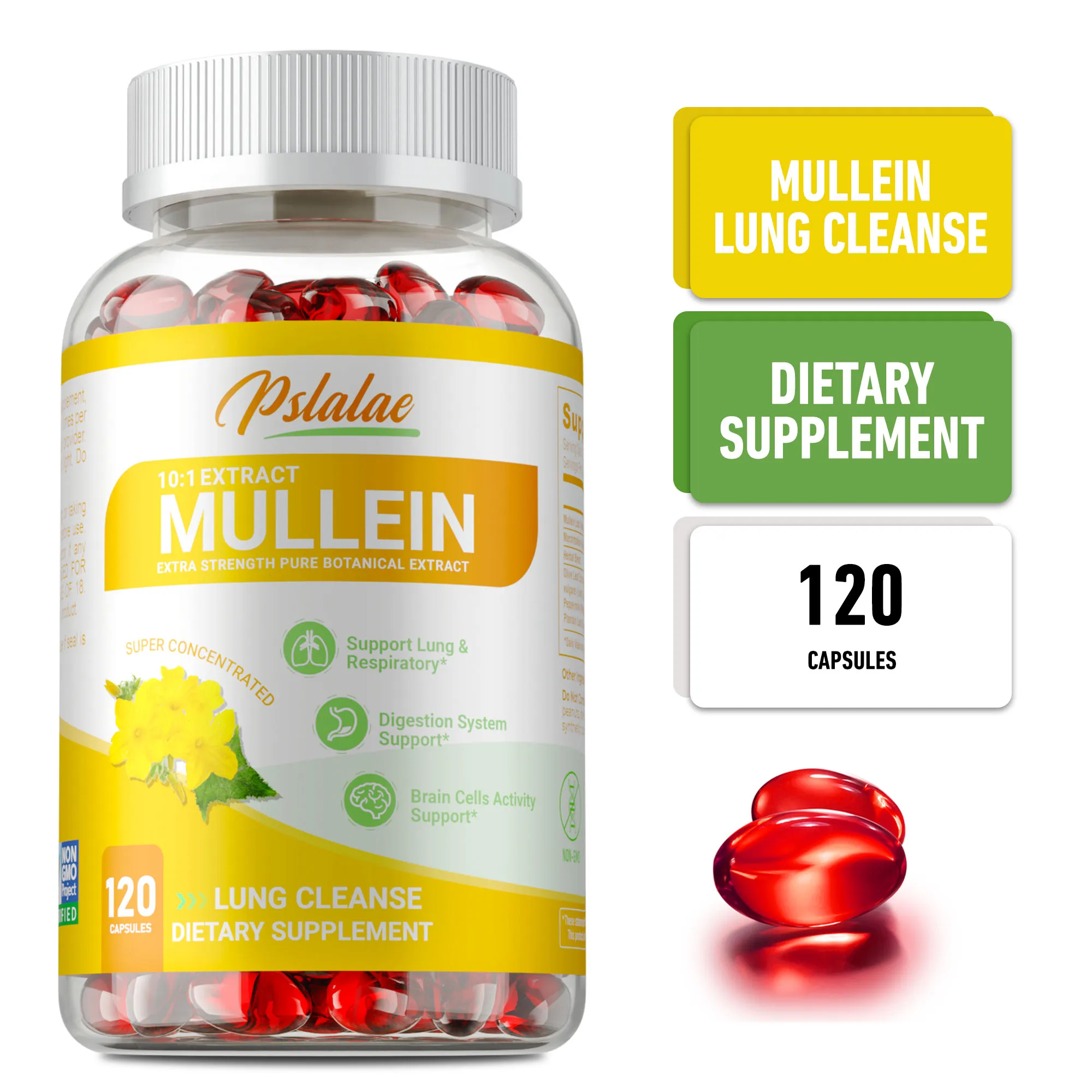 Mullein Leaf Extract - Improves Digestion, Natural Lung Cleanse, Supports Lung Function & Respiratory Health, Boosts Immunity
Mullein Leaf Extract - Improves Digestion, Natural Lung Cleanse, Supports Lung Function & Respiratory Health, Boosts Immunity