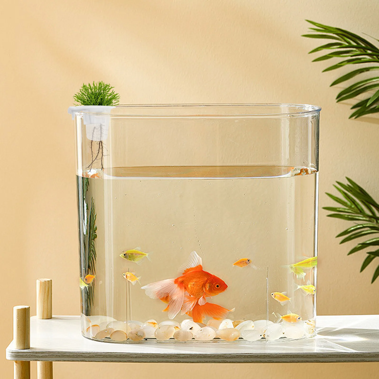 2PCS Fish Tank Plant Holder Hydroponic Plants Rack Aquarium Planter Transparent Aquatic Plant Holder For Tank
2PCS Fish Tank Plant Holder Hydroponic Plants Rack Aquarium Planter Transparent Aquatic Plant Holder For Tank