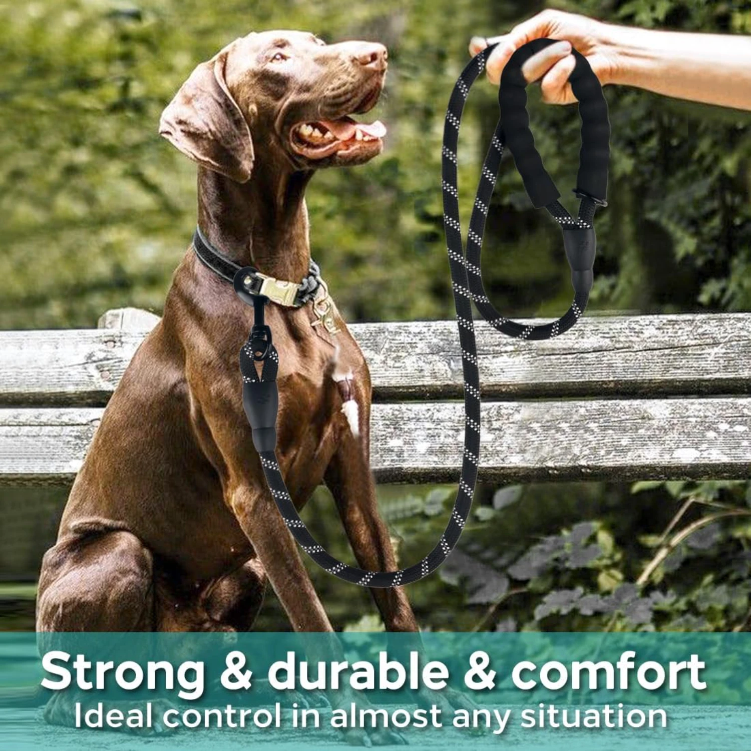 Comfortably Padded Enhanced Ultimate Adjustable Safety Dog Leash for Small, Medium, and Large Dogs - Maximum Security and High V
Comfortably Padded Enhanced Ultimate Adjustable Safety Dog Leash for Small, Medium, and Large Dogs - Maximum Security and High V