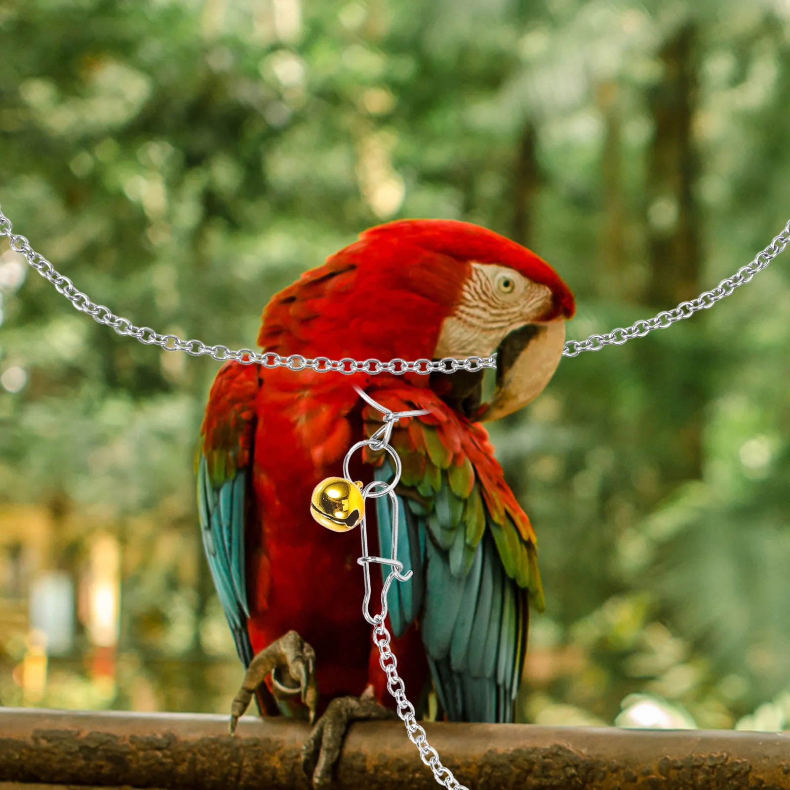 1 set Stainless Steel Parrot Neck Cover 1 Small Bell 30cm Chain Bird Harness Collar Flying Training Pet Leash Necklace Practical
1 set Stainless Steel Parrot Neck Cover 1 Small Bell 30cm Chain Bird Harness Collar Flying Training Pet Leash Necklace Practical