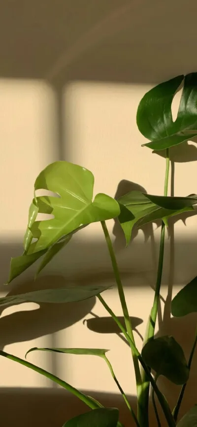 RC Metal 13 Teeth Clutch Bell for Kyosho MP10 MP9 Ifw46 97035-13 1/8 RC Car
RC Metal 13 Teeth Clutch Bell for Kyosho MP10 MP9 Ifw46 97035-13 1/8 RC Car