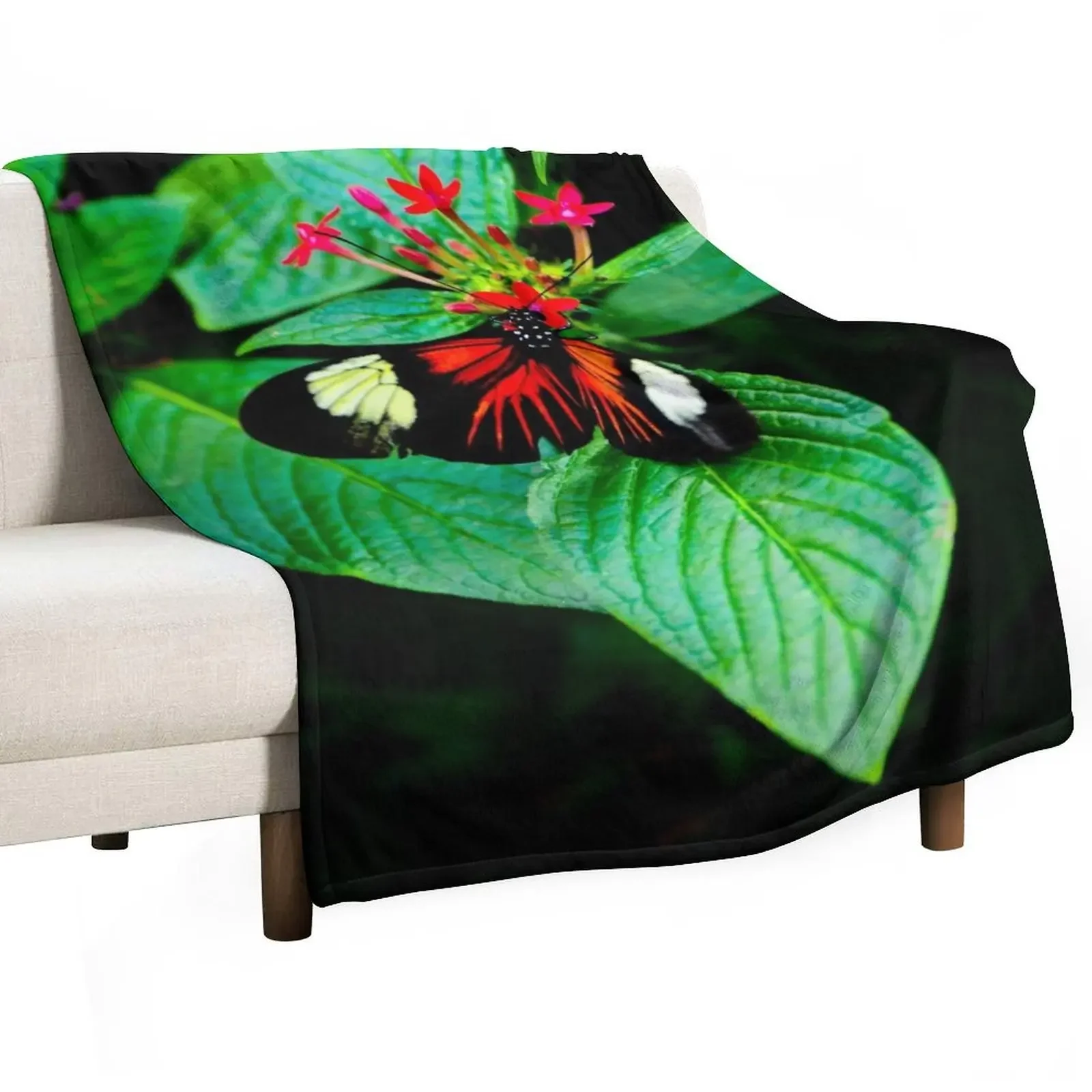 Butterfly Beauty in Red White Black Throw Blanket for sofa Flannels blankets ands Blankets
Butterfly Beauty in Red White Black Throw Blanket for sofa Flannels blankets ands Blankets