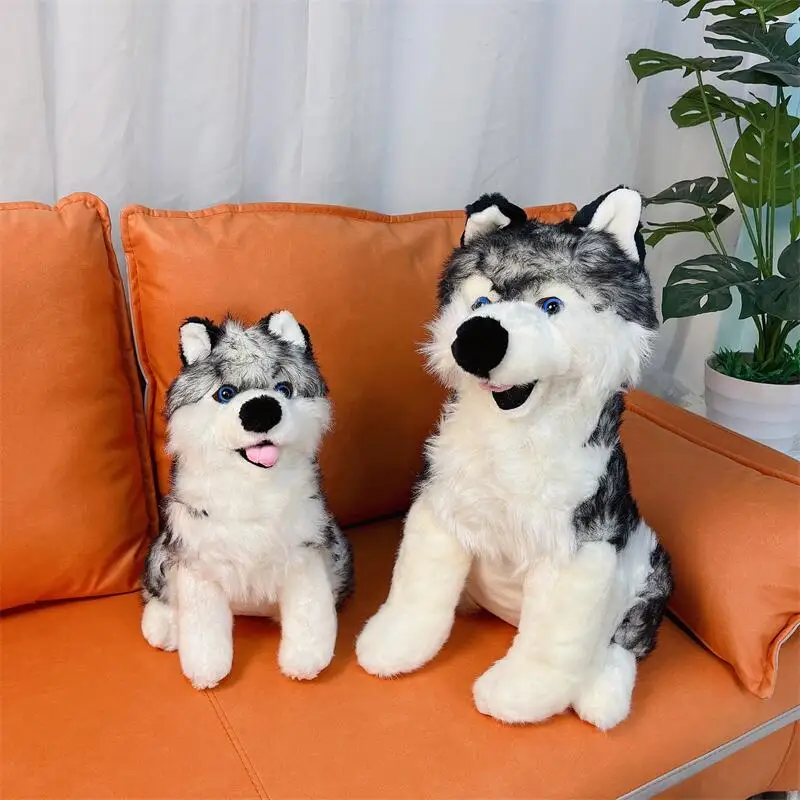Simulation Wolf Dog Plush Toy Creative Realistic Animal Sitting Dog Lifelike Ornament Dec Dolls Stuffed Soft Toys Birthday Gift
Simulation Wolf Dog Plush Toy Creative Realistic Animal Sitting Dog Lifelike Ornament Dec Dolls Stuffed Soft Toys Birthday Gift