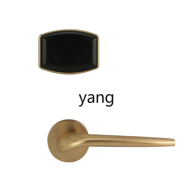 LTT apartment B & B swipe card electronic lock office school dormitory intelligent induction door lock
LTT apartment B & B swipe card electronic lock office school dormitory intelligent induction door lock