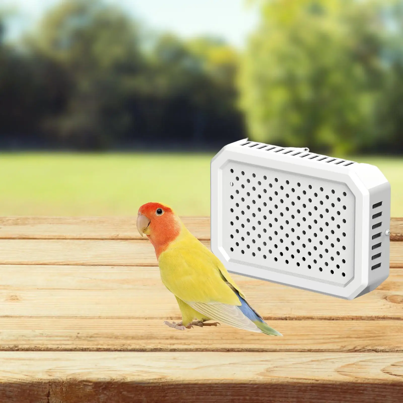 Easy Install Bird Cage Heater No Light Warming Device for Birds Parrots Hamsters Chicks Winter Use
Easy Install Bird Cage Heater No Light Warming Device for Birds Parrots Hamsters Chicks Winter Use