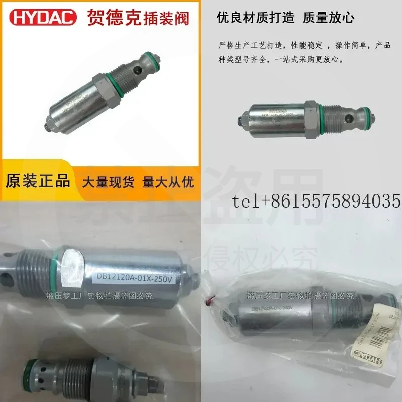 hot Overflow valve Hedek cartridge valve DB12120A-01X-250V/DB12120A-01X-350V
hot Overflow valve Hedek cartridge valve DB12120A-01X-250V/DB12120A-01X-350V