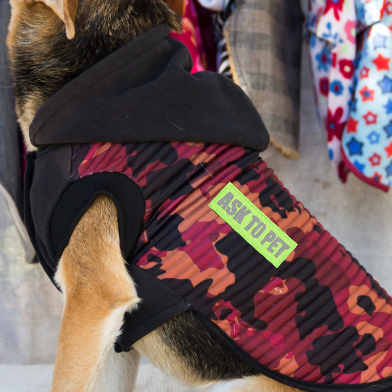 4 Pcs Pet Strap Nylon Harness Patches Decorative Wear-resistant Stamp Assistance Animal Work Embroidered Applique
4 Pcs Pet Strap Nylon Harness Patches Decorative Wear-resistant Stamp Assistance Animal Work Embroidered Applique