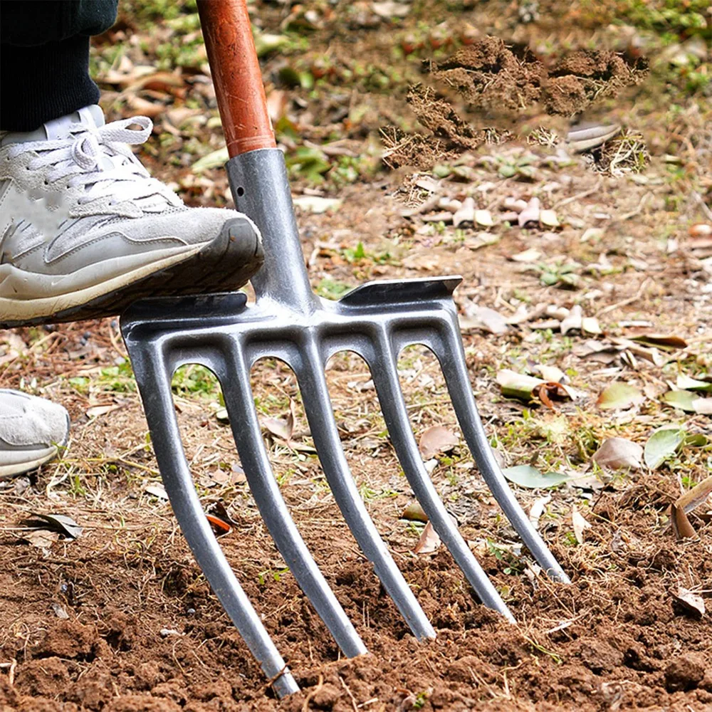Sturdy High Carbon Steel Digging Fork 4 Tine Anti Breakage Garden Fork Spading Fork Digging Tool
Sturdy High Carbon Steel Digging Fork 4 Tine Anti Breakage Garden Fork Spading Fork Digging Tool