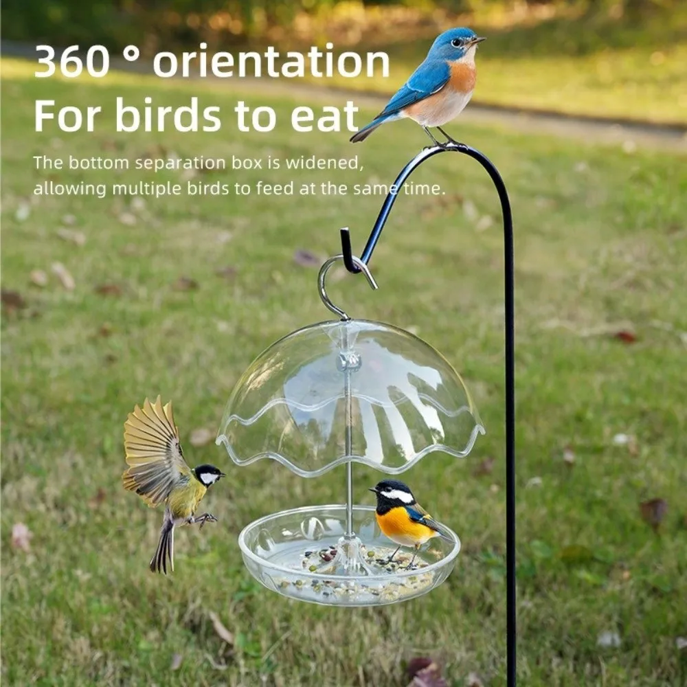 Transparent Umbrella Bird Feeder Rainproof Large Capacity Hanging Bird Bath Open Platform Bird Feeding Equipment Wild Birds
Transparent Umbrella Bird Feeder Rainproof Large Capacity Hanging Bird Bath Open Platform Bird Feeding Equipment Wild Birds