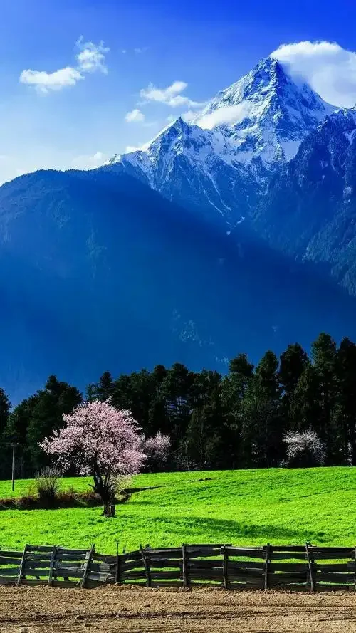 14.5" Android 13 For Chevrolet Silverado GMC 2013-2019 Car Radio Multimedia Video Player GPS Navigation Carplay
14.5" Android 13 For Chevrolet Silverado GMC 2013-2019 Car Radio Multimedia Video Player GPS Navigation Carplay