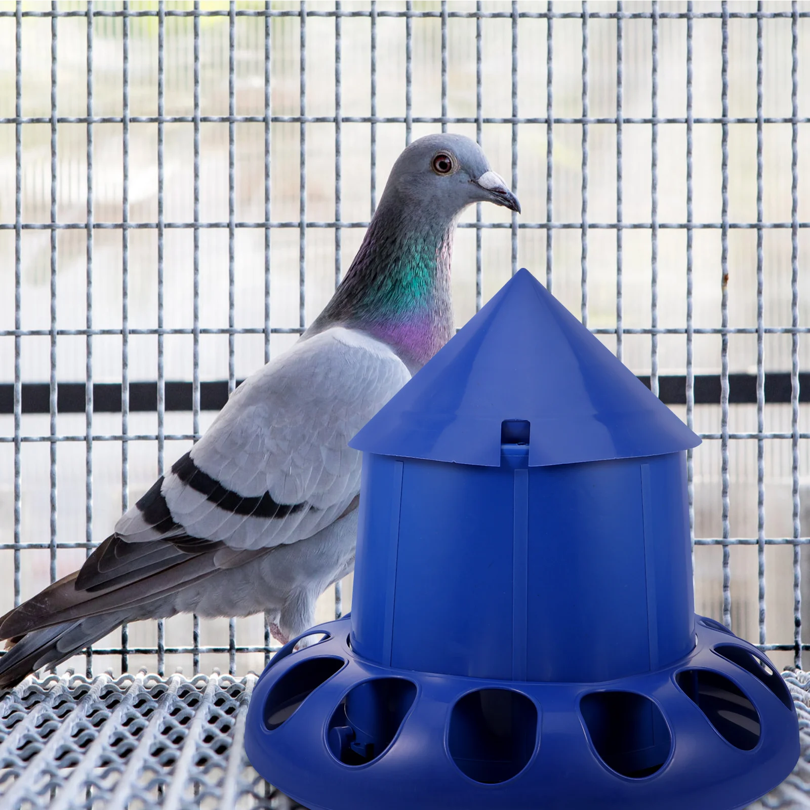 13 Holes Pigeon Feeder Bird Cage Feeders Chicken Duck Feeder Multi slots Practical Pigeon Food Container Easy Clean Wear 
13 Holes Pigeon Feeder Bird Cage Feeders Chicken Duck Feeder Multi slots Practical Pigeon Food Container Easy Clean Wear