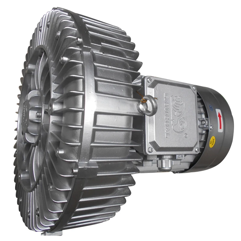 Direct Manufacturer 380V Single Stage Three Phase 4 Kw Regenerative Ring Blower For Shrimp Farm
Direct Manufacturer 380V Single Stage Three Phase 4 Kw Regenerative Ring Blower For Shrimp Farm