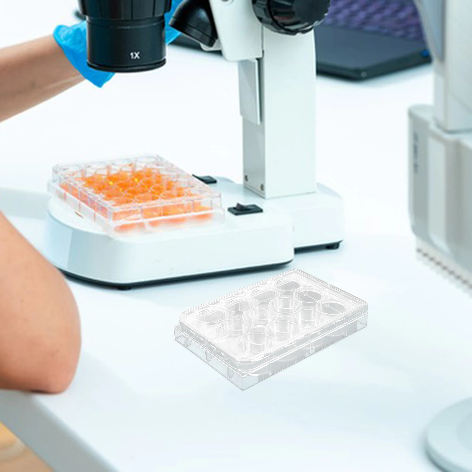 10pcs Cell Flat Bottom 12 Holes Lab Equipment With Lid Laboratory Culture Plate For Biology Tissue Culture Tray
10pcs Cell Flat Bottom 12 Holes Lab Equipment With Lid Laboratory Culture Plate For Biology Tissue Culture Tray