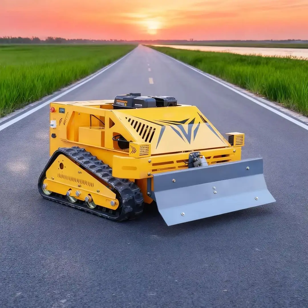 Customized Household Flail Lawn Mower Remote Control Crawler Lawn Trimmer Free Blade Kit & Snow Shovel
Customized Household Flail Lawn Mower Remote Control Crawler Lawn Trimmer Free Blade Kit & Snow Shovel