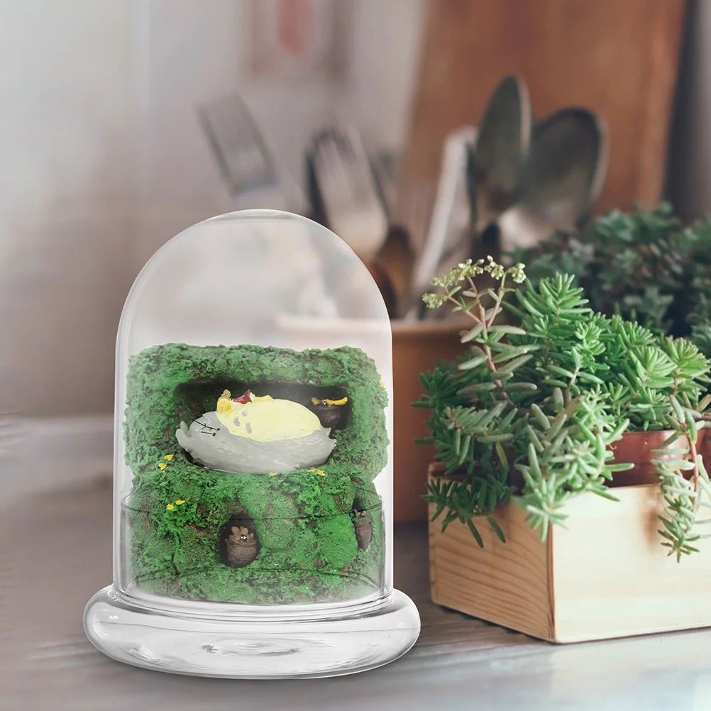 Moss Eco Bottle Ecological Plant Simple Sports Home Decoration Storage Desktop Glass Terrarium Countertop
Moss Eco Bottle Ecological Plant Simple Sports Home Decoration Storage Desktop Glass Terrarium Countertop
