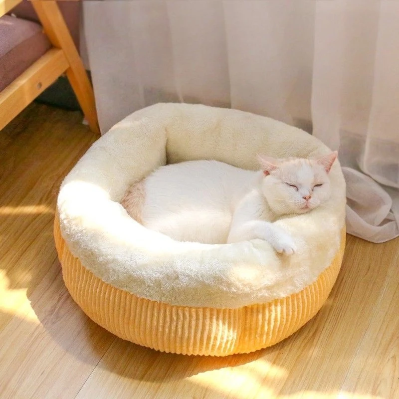 Cat Accessories Cat Bed Dog Bed Beds And Furniture House For Cats Accessories For Cats House Cat Beds Mats Pet Products Garden
Cat Accessories Cat Bed Dog Bed Beds And Furniture House For Cats Accessories For Cats House Cat Beds Mats Pet Products Garden