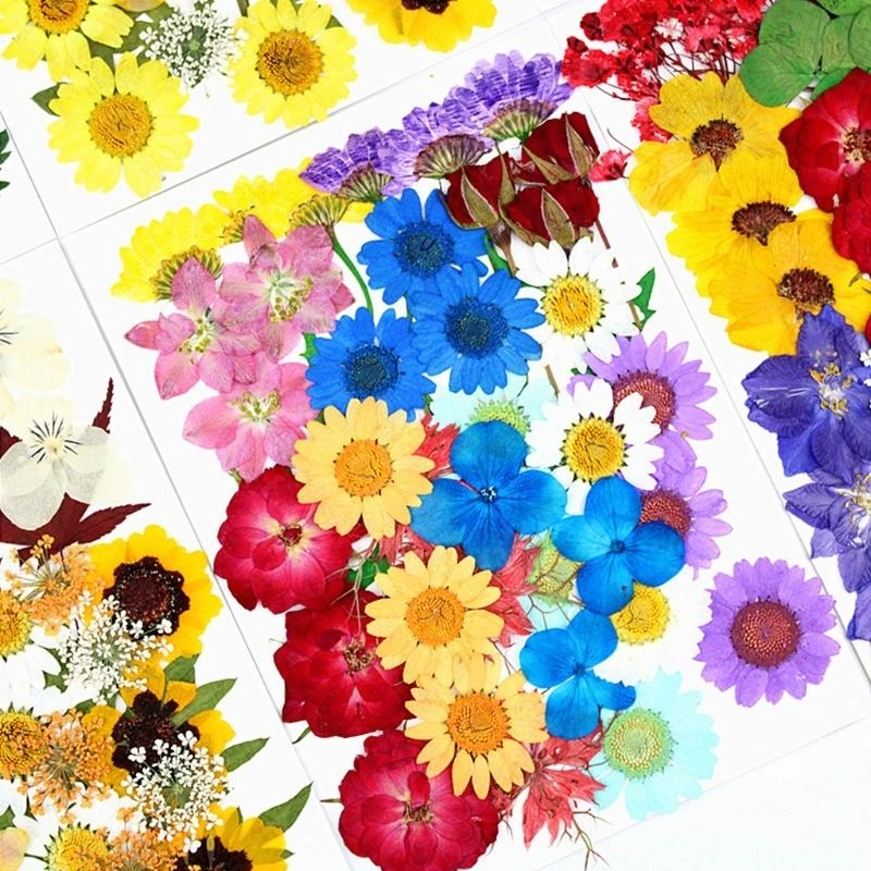 E56A Crystal Epoxy Filler Epoxy Mold Fillings Dry Flower Resin Beauty Art Decals
E56A Crystal Epoxy Filler Epoxy Mold Fillings Dry Flower Resin Beauty Art Decals
