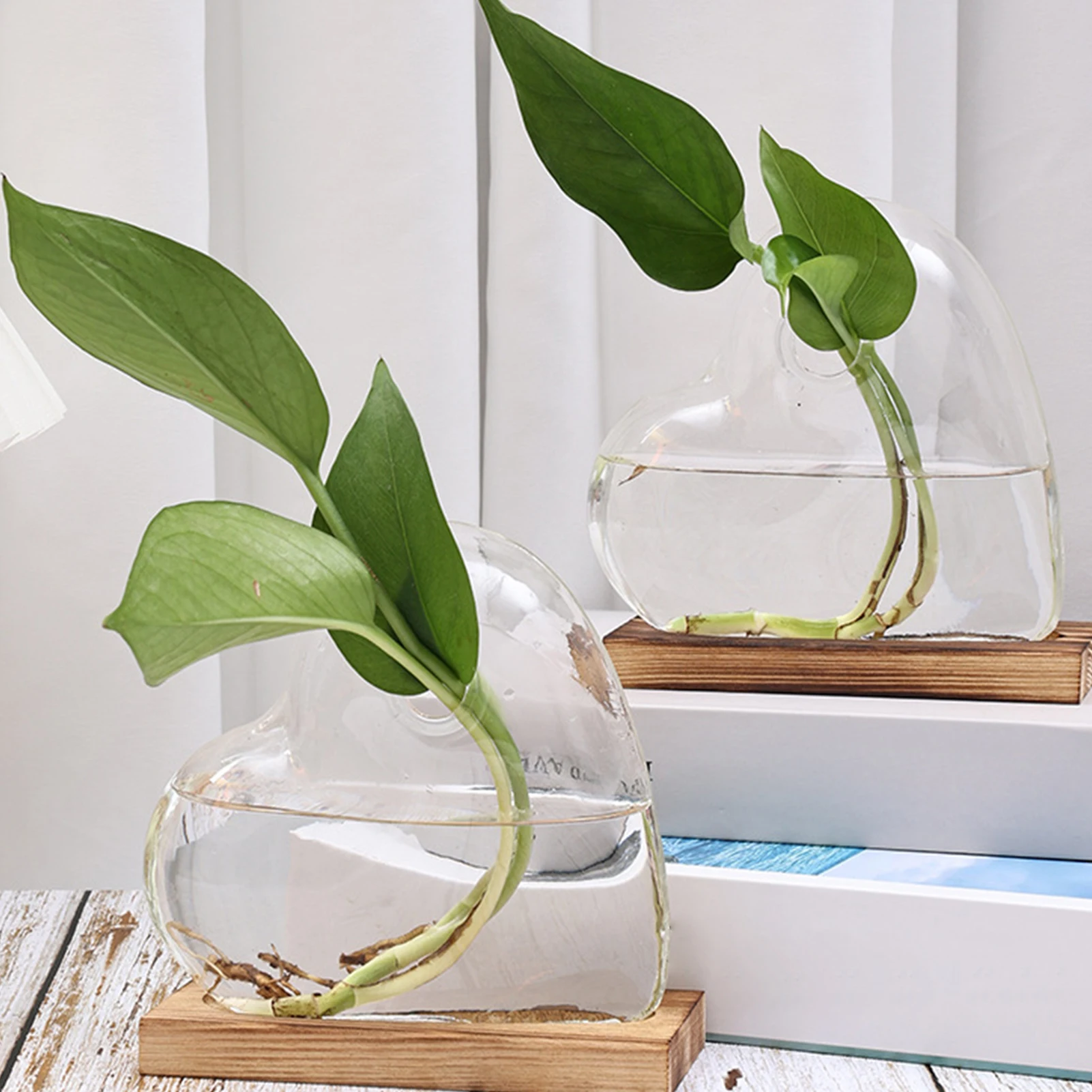 Hydroponic Flower Pot Heart Model Glass Vase Home Vase Transparent Plant Pots Container Green Plants Pot For Home Decoration
Hydroponic Flower Pot Heart Model Glass Vase Home Vase Transparent Plant Pots Container Green Plants Pot For Home Decoration