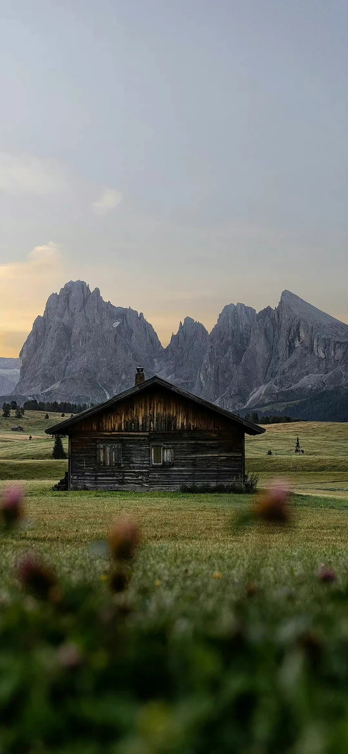 Для WPL C14 C24 C34 C44 C54 B14 B24 Металлический комплект переднего и заднего моста и приводного вала 1/16 Обновление радиоуправляемого автомобиля Запчасти Аксессуары
Для WPL C14 C24 C34 C44 C54 B14 B24 Металлический комплект переднего и заднего моста и приводного вала 1/16 Обновление радиоуправляемого автомобиля Запчасти Аксессуары