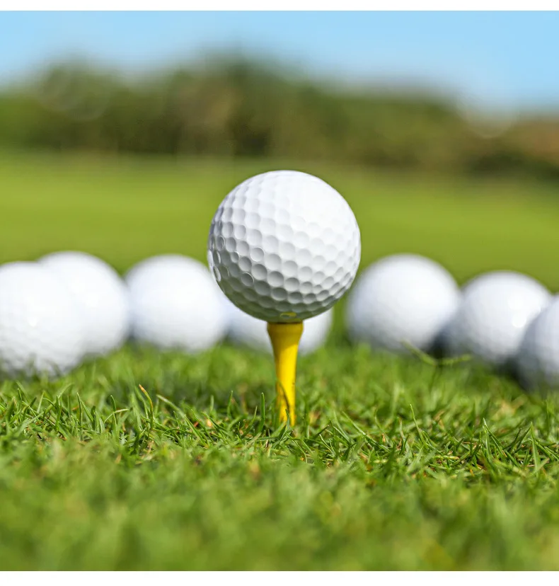 10pic/30pic Two Layer Golf Practice Balls - Good Quality Golf Training Accessories for Skill Improvement
10pic/30pic Two Layer Golf Practice Balls - Good Quality Golf Training Accessories for Skill Improvement