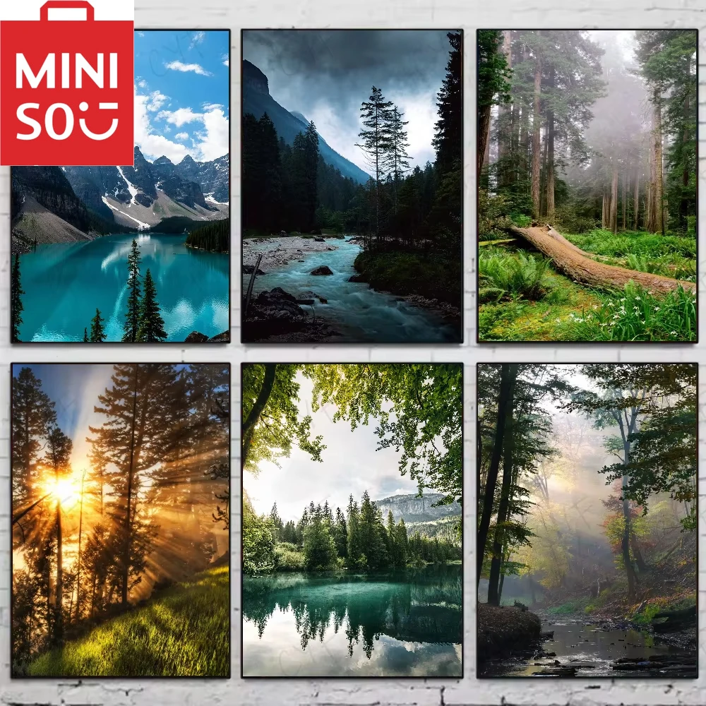 MINISO DIY Without Frame Digital Oil Painting Piece of Dark Green Forest Home Decoration Painting Wall Bedroom Room Decor Gift
MINISO DIY Without Frame Digital Oil Painting Piece of Dark Green Forest Home Decoration Painting Wall Bedroom Room Decor Gift