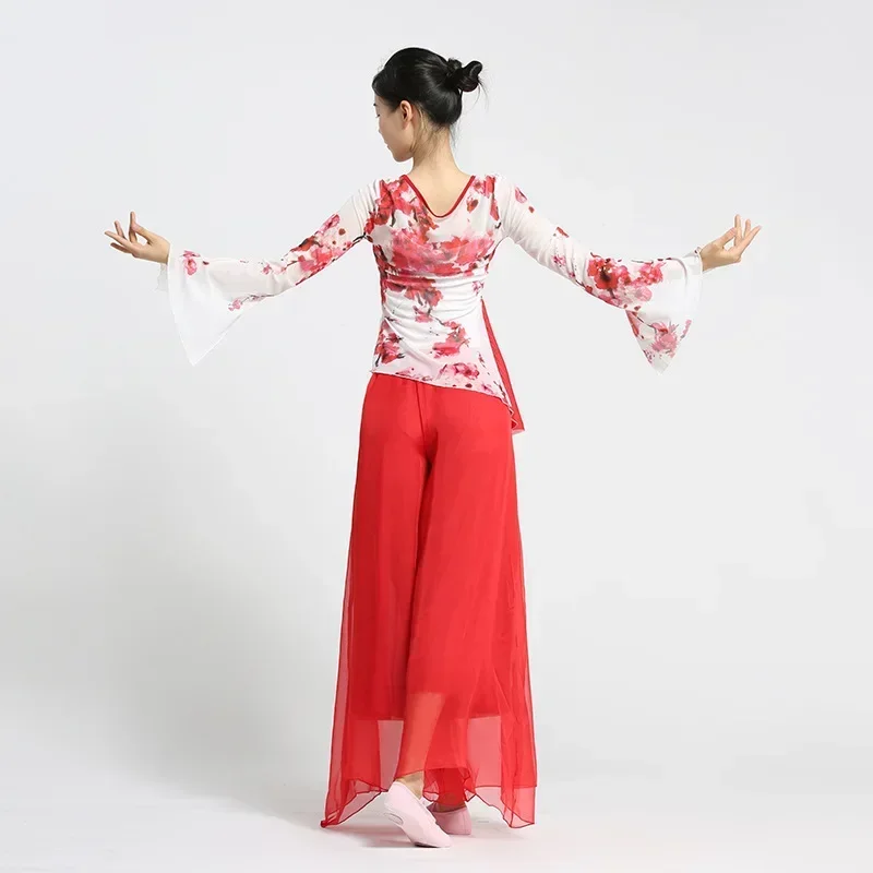 Classical Dance Clothing Body Rhyme Practice Clothes Gauze Clothing Art Test Trumpet Sleeve Plum Blossom Elegant National Top
Classical Dance Clothing Body Rhyme Practice Clothes Gauze Clothing Art Test Trumpet Sleeve Plum Blossom Elegant National Top