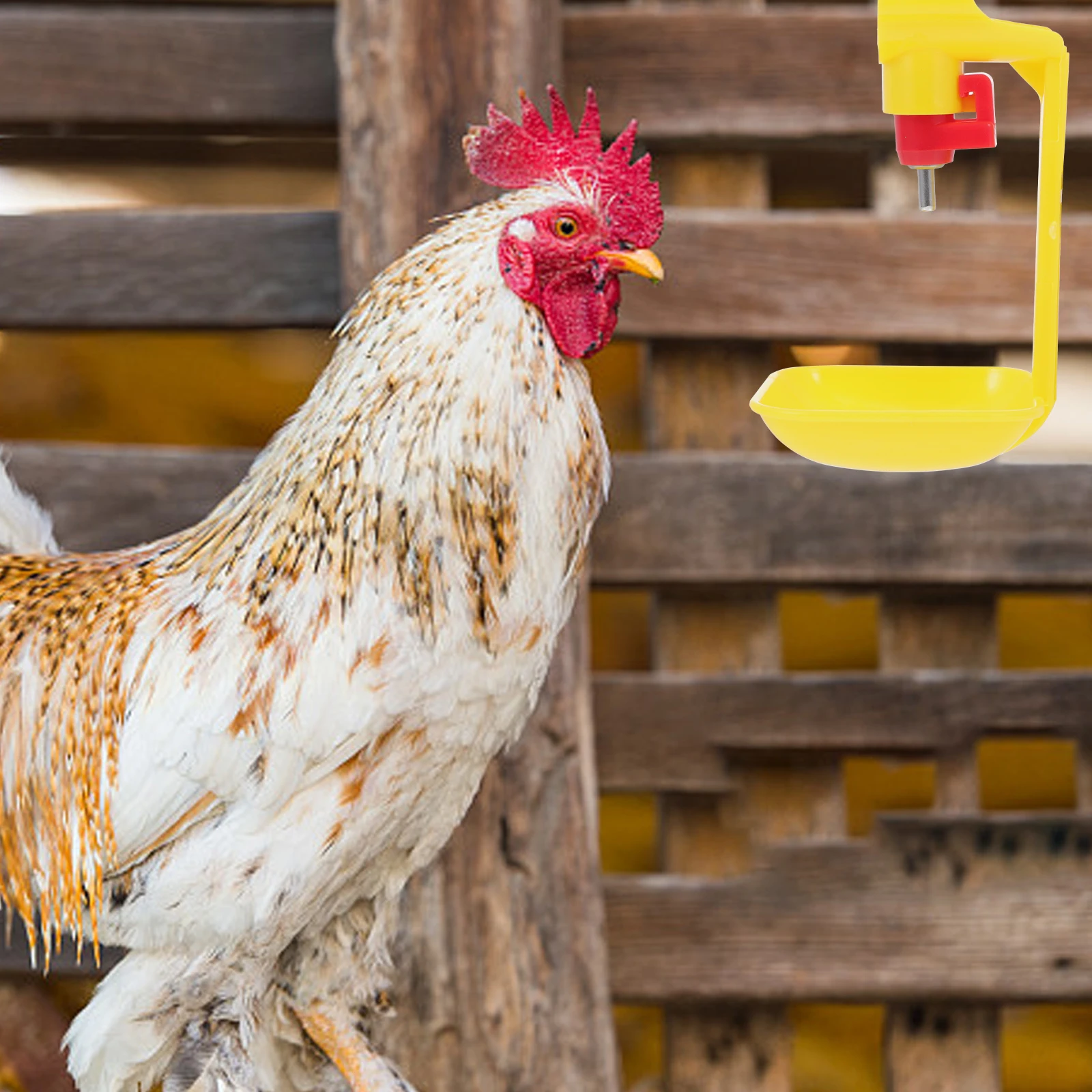 Chicken Water Drinker Large Capacity Automatic Bowl Poultry Yellow Nipples Farm Supplies Plastic Stainless Steel 360 Degree
Chicken Water Drinker Large Capacity Automatic Bowl Poultry Yellow Nipples Farm Supplies Plastic Stainless Steel 360 Degree