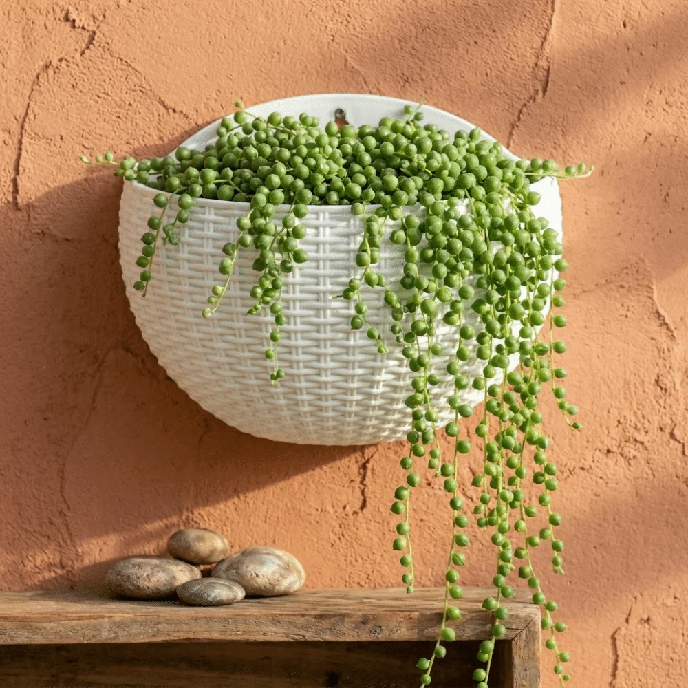 Half Round Wall Hanging Basket Wear-resistant Plastic Rattan Weaving Over Fence Planter Decorative Hanging Flowerpot
Half Round Wall Hanging Basket Wear-resistant Plastic Rattan Weaving Over Fence Planter Decorative Hanging Flowerpot
