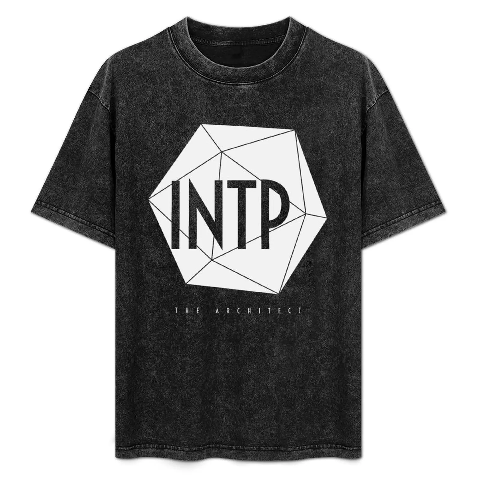 INTP The Architect - MBTI Type T-Shirt Plus Size Everyday Tee Shirt
INTP The Architect - MBTI Type T-Shirt Plus Size Everyday Tee Shirt