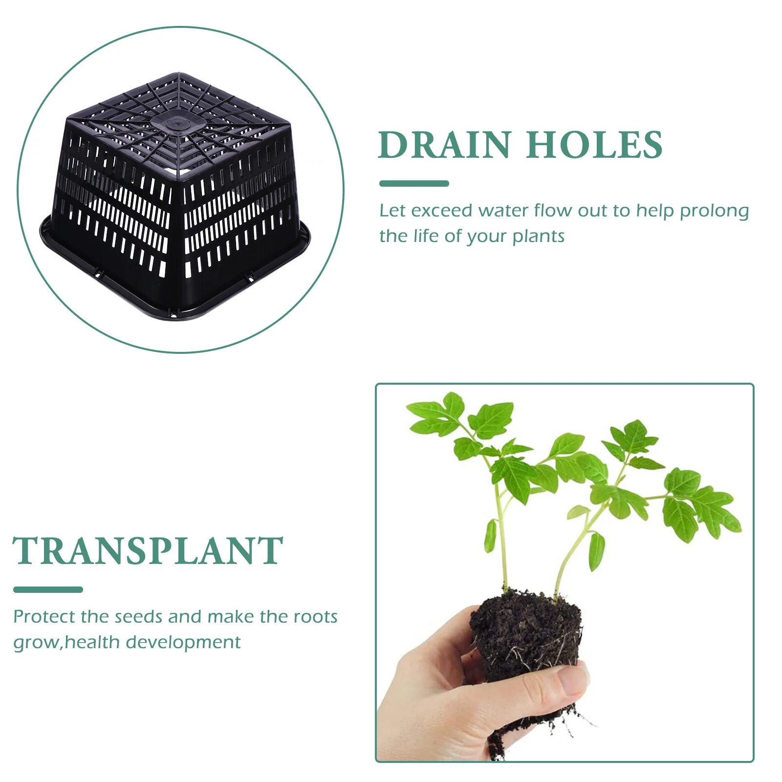 5pcs Control Root Flower Pot Thickened Plastic Orchid Planter Holes For Drainage Aeration Replanting Breathable Garden Plant
5pcs Control Root Flower Pot Thickened Plastic Orchid Planter Holes For Drainage Aeration Replanting Breathable Garden Plant
