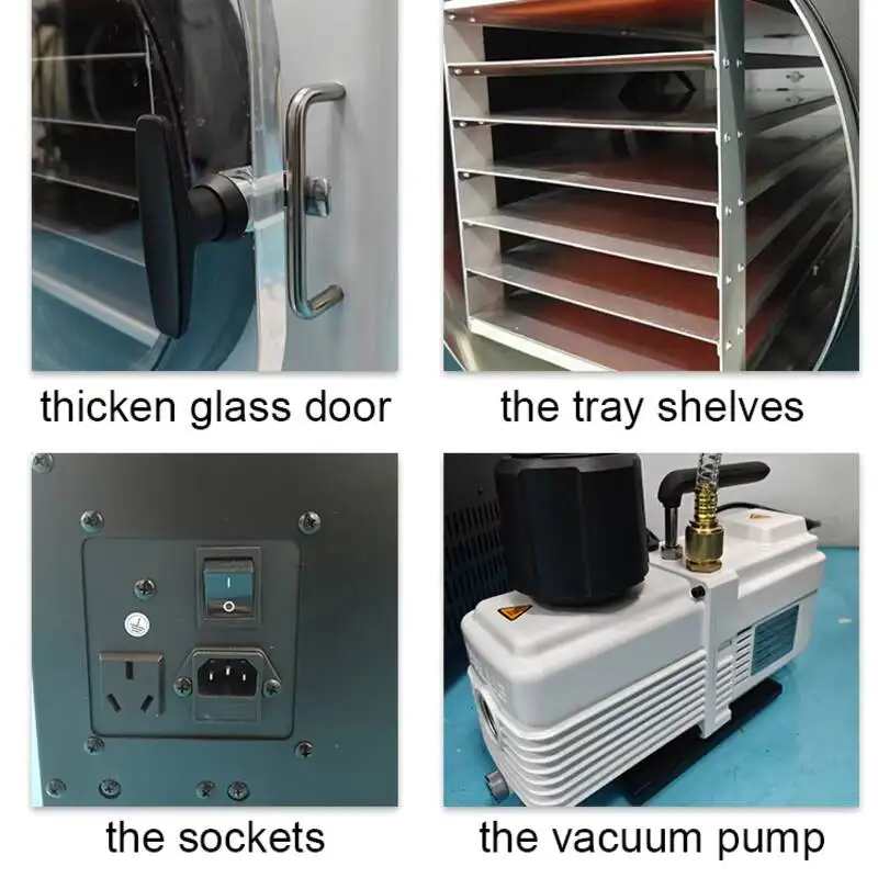 Freeze Drying Small Mini Home Lyophilizer Vacuum Freeze Dryer Machine for Food
Freeze Drying Small Mini Home Lyophilizer Vacuum Freeze Dryer Machine for Food