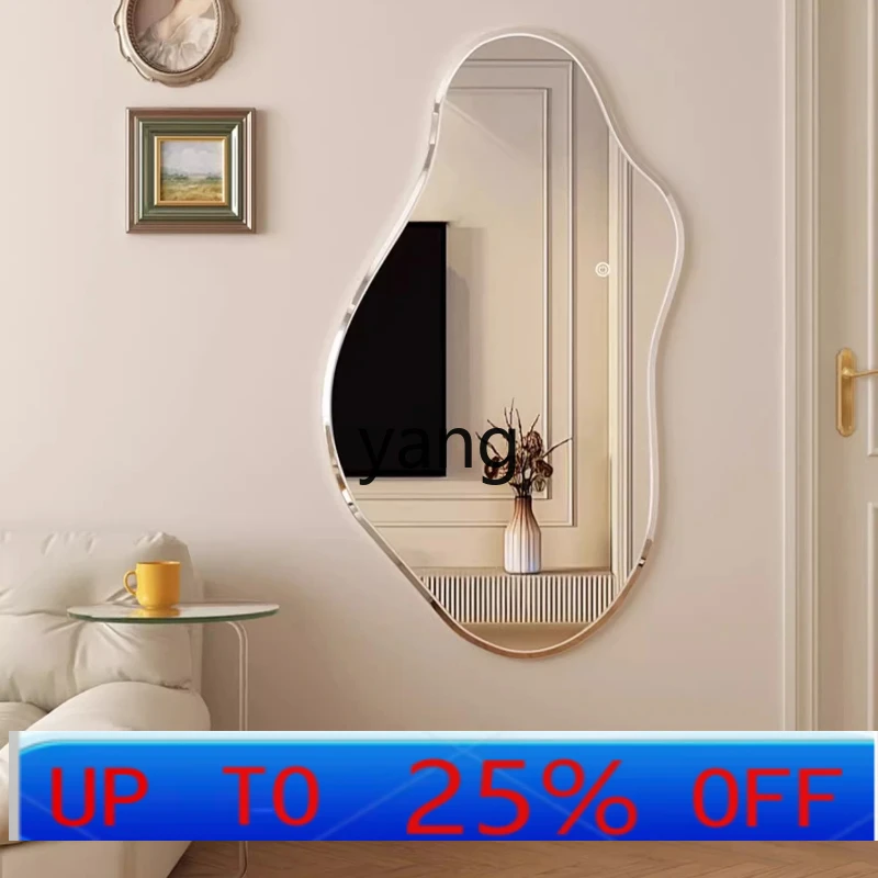 LTT mirror wall-mounted full-length mirror household bedroom
LTT mirror wall-mounted full-length mirror household bedroom
