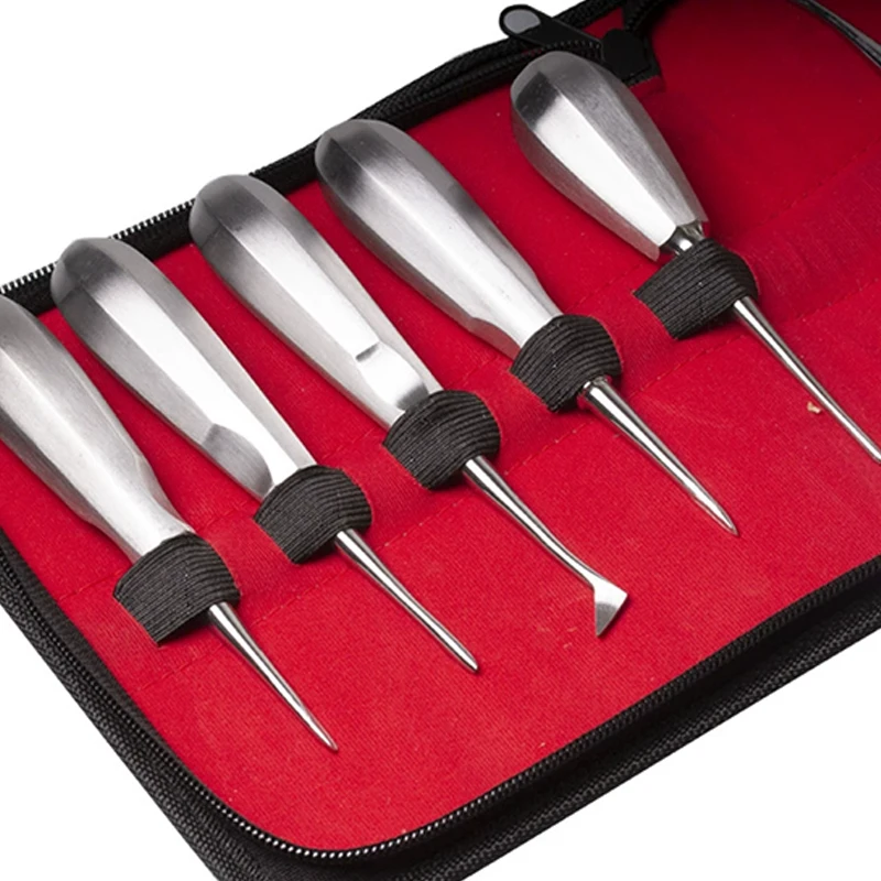 10Pcs/Set Dental Elevator Tooth Extracting Forceps Stainless Steel Curved Root Lift Elevator Surgical Equipment Tools
10Pcs/Set Dental Elevator Tooth Extracting Forceps Stainless Steel Curved Root Lift Elevator Surgical Equipment Tools