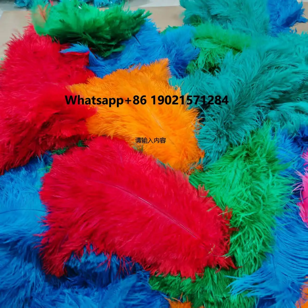 Wholesale Natural Feather by KG Multiple Sizes Soft Ostrich Floss Feather for Plentiful Wedding Festival Decor Sewing
Wholesale Natural Feather by KG Multiple Sizes Soft Ostrich Floss Feather for Plentiful Wedding Festival Decor Sewing