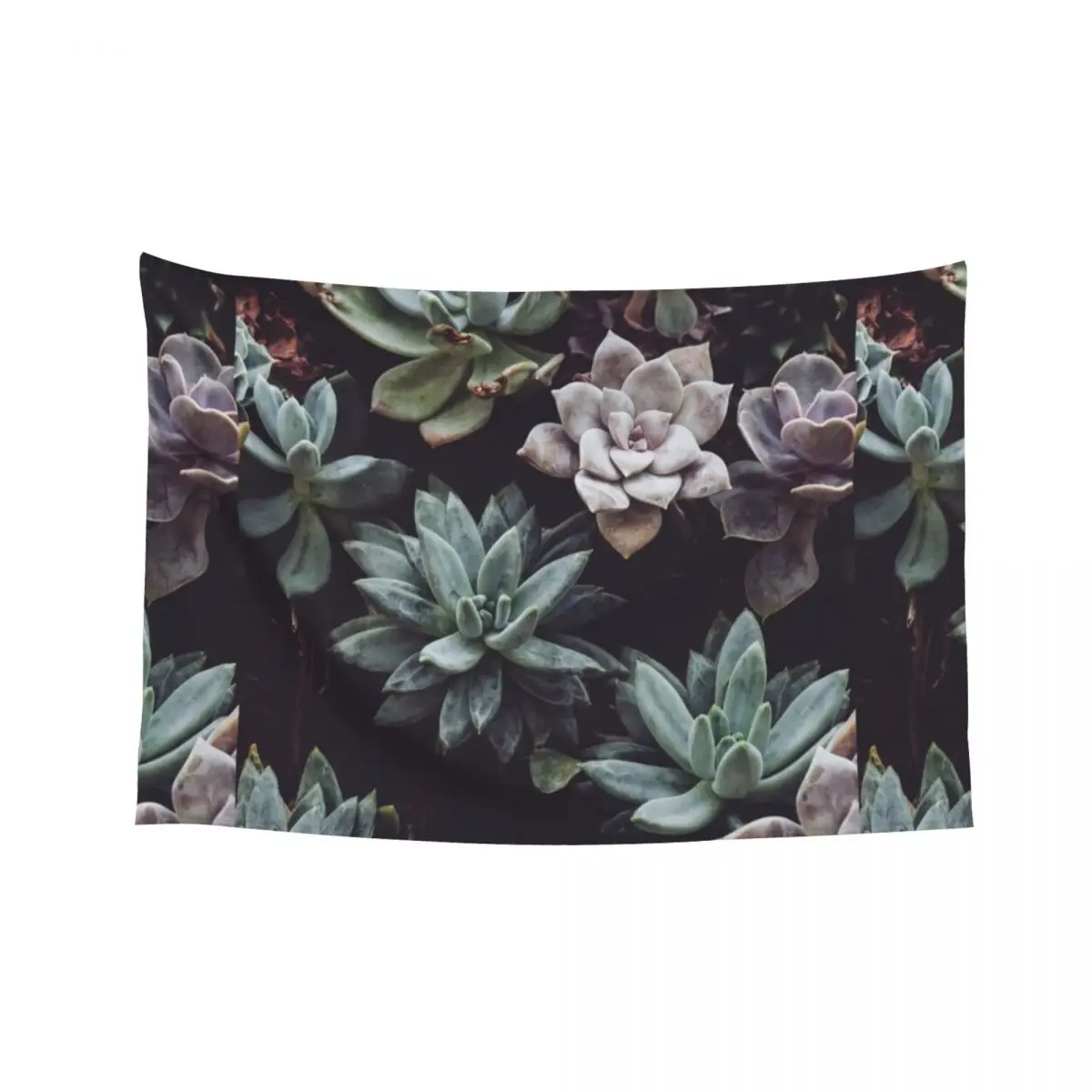 Succulent 1 Tapestry Wall Art Outdoor Decoration Room Decorations Aesthetic Cute Room Things Tapestry
Succulent 1 Tapestry Wall Art Outdoor Decoration Room Decorations Aesthetic Cute Room Things Tapestry