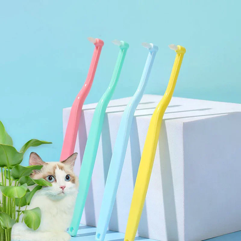 1pc Round/pointed Dog Toothbrush Dog Teeth Cleaning Small Head Brush For Dogs Teeth Mouth Tools Pet Grooming Cat Toothbrush
1pc Round/pointed Dog Toothbrush Dog Teeth Cleaning Small Head Brush For Dogs Teeth Mouth Tools Pet Grooming Cat Toothbrush