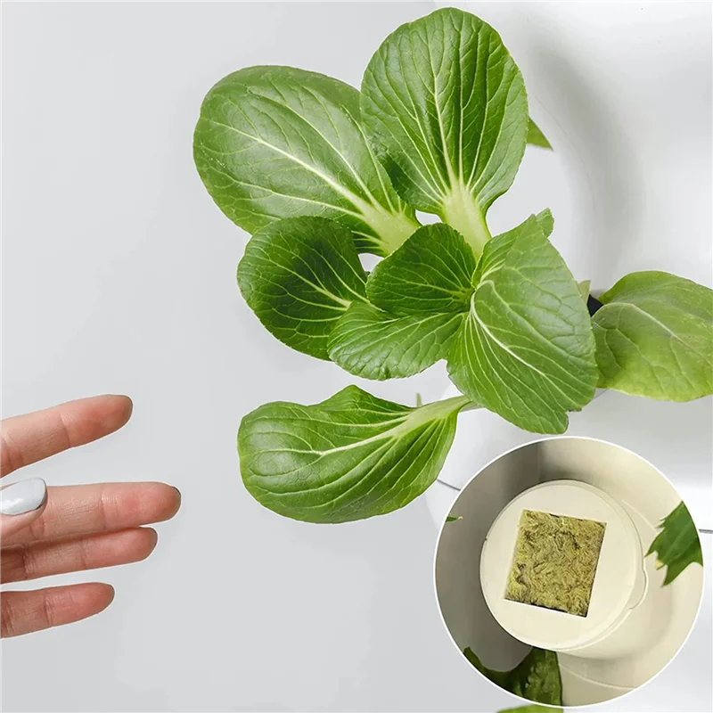F-T 50Pcs Stonewool Hydroponic Grow Media Starter Cubes Plant Cubes Soilless Substrate Seeded Rock Wool Plug Seedling Block
F-T 50Pcs Stonewool Hydroponic Grow Media Starter Cubes Plant Cubes Soilless Substrate Seeded Rock Wool Plug Seedling Block