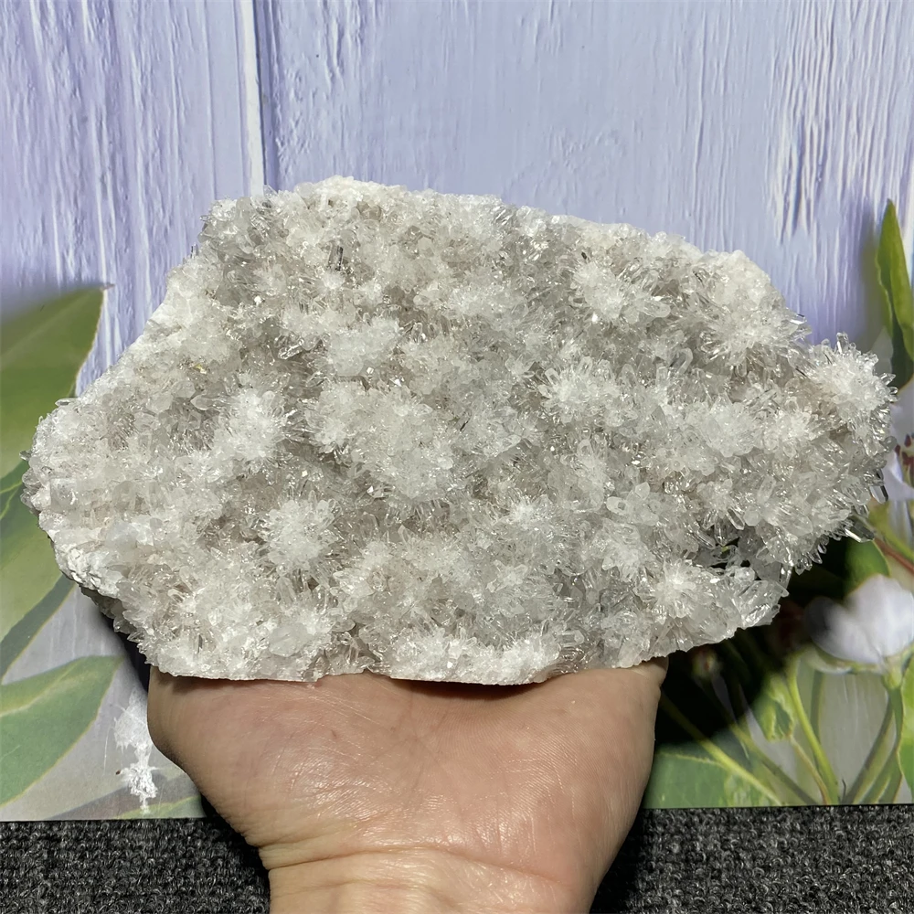 High Quality Natural Crystal Cluster Chrysanthemum Stone Mineral Specimen Energy Healing Gemstone Gift Home Decoration
High Quality Natural Crystal Cluster Chrysanthemum Stone Mineral Specimen Energy Healing Gemstone Gift Home Decoration