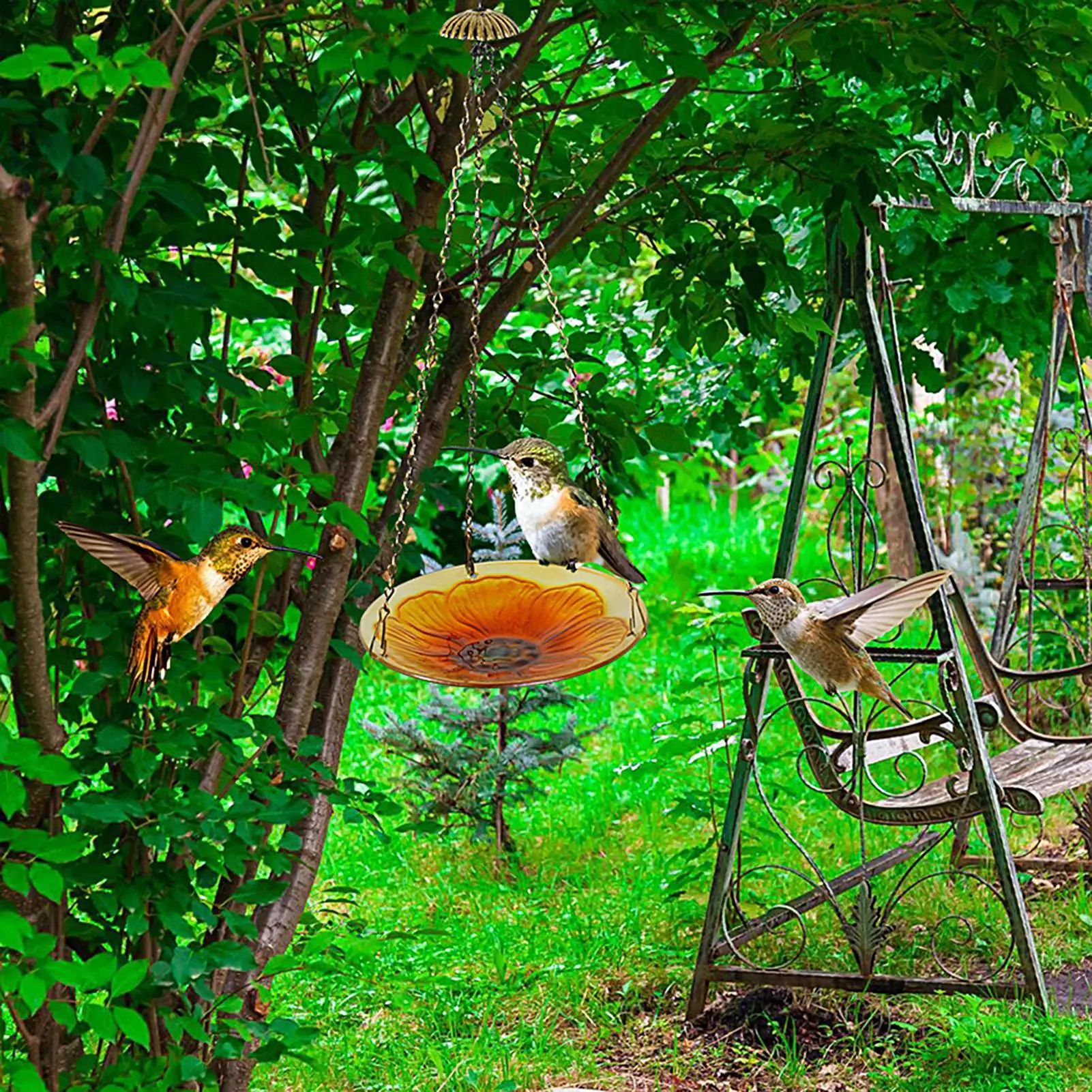 Hummingbird Feeders For Outdoors Flower Design Dish Ornament Bird Feeding Station For Outdoor Garden Backyard Porch Park
Hummingbird Feeders For Outdoors Flower Design Dish Ornament Bird Feeding Station For Outdoor Garden Backyard Porch Park