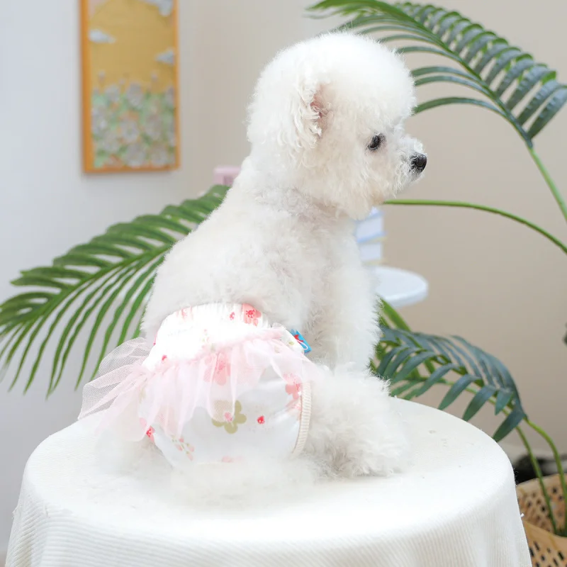 Pet Apparel Happy Puppy Small Dog Outing Stylish Casual Fashion Breathable Soft Fabric Sakura Sanitary Pants
Pet Apparel Happy Puppy Small Dog Outing Stylish Casual Fashion Breathable Soft Fabric Sakura Sanitary Pants