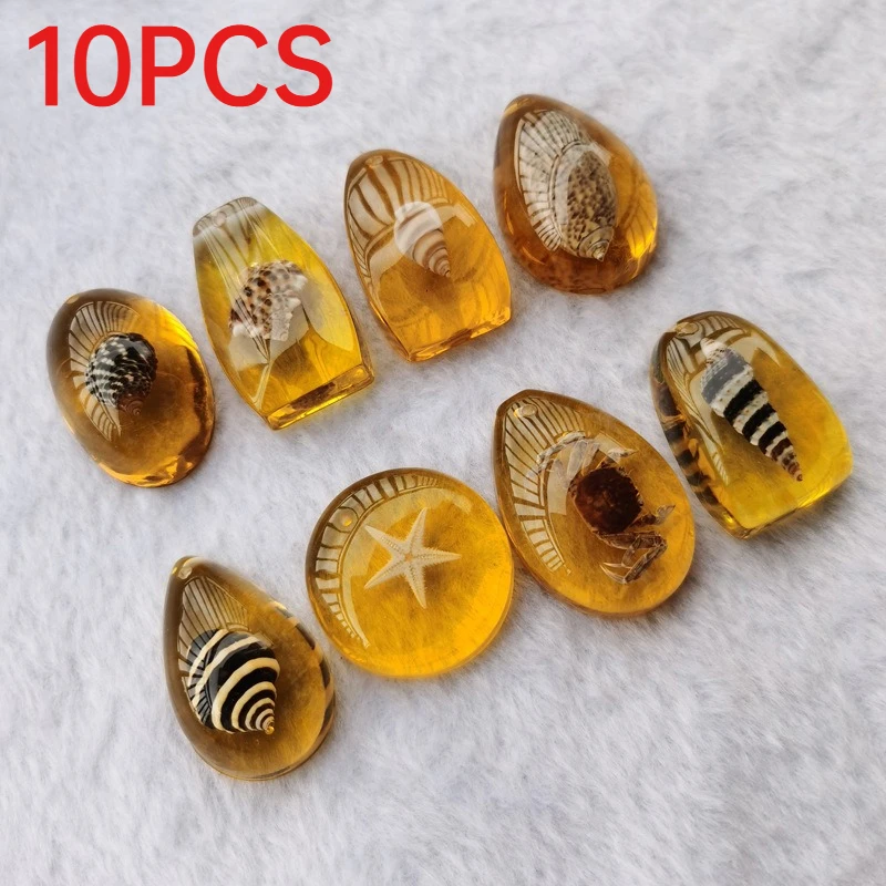 10Pcs Mini Amber Color Resin Pendants Seashell Starfish Specimen Charms DIY Necklace Jewelry Making Accessories
10Pcs Mini Amber Color Resin Pendants Seashell Starfish Specimen Charms DIY Necklace Jewelry Making Accessories