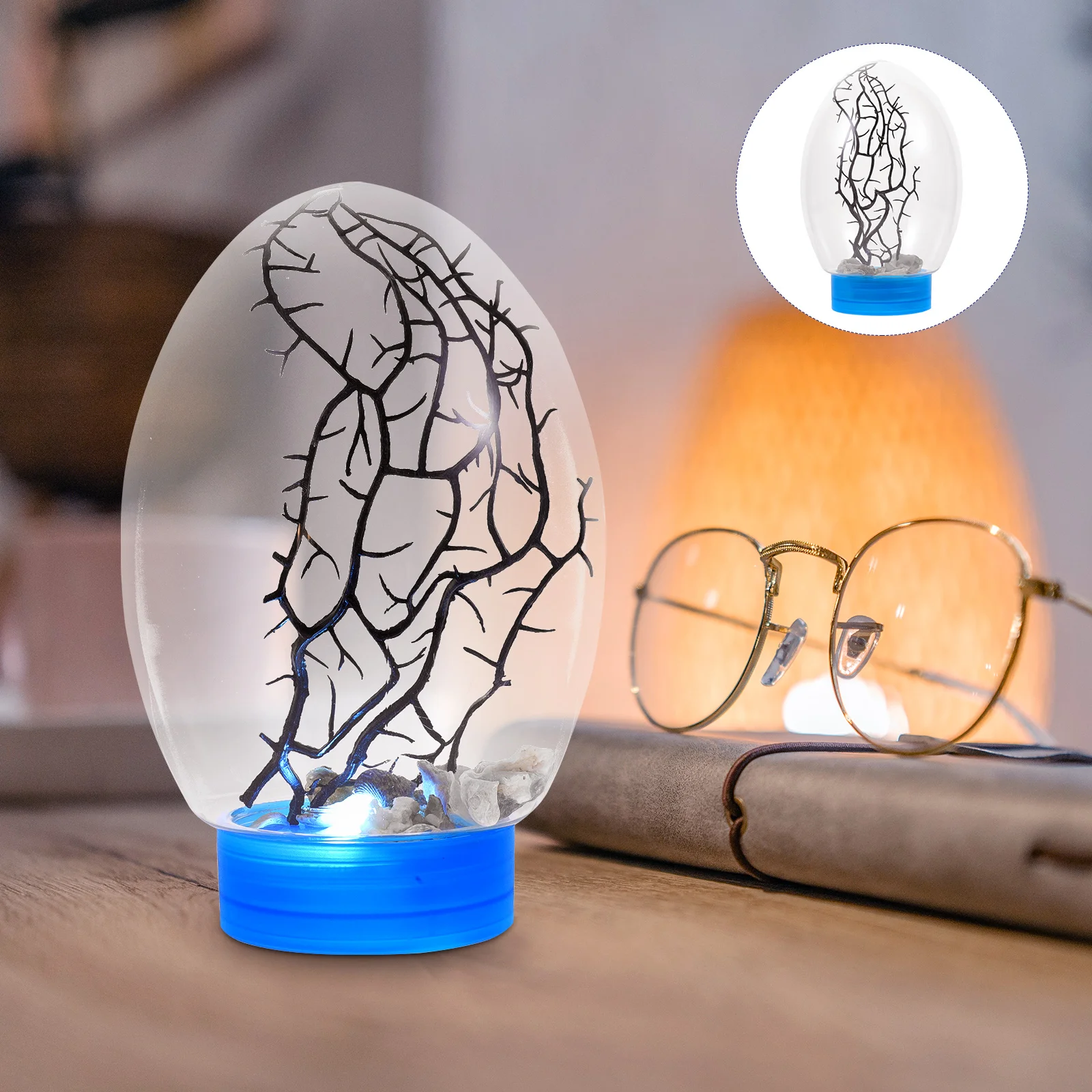 Fish Tank with LED Light Revolving Base Aquarium Portable Closed Aquatic Ecosystem Plastic Desktop Small Bowls
Fish Tank with LED Light Revolving Base Aquarium Portable Closed Aquatic Ecosystem Plastic Desktop Small Bowls